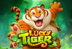 Fortune Tiger